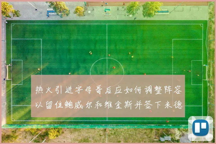 热火引进字母哥后应如何调整阵容以留住鲍威尔和维金斯并签下米德尔顿