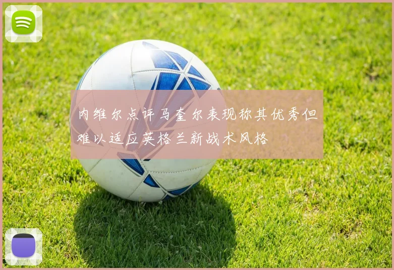 内维尔点评马奎尔表现称其优秀但难以适应英格兰新战术风格