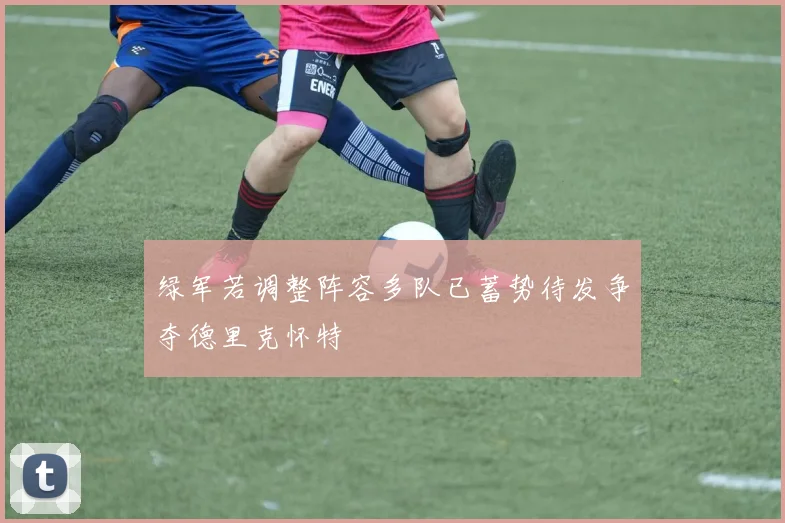 绿军若调整阵容多队已蓄势待发争夺德里克怀特